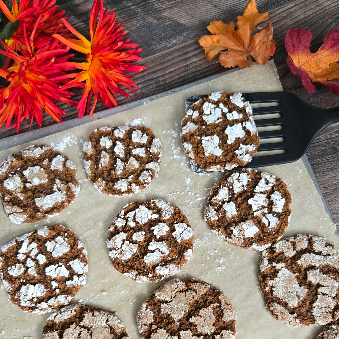 Pumpkin Spice Brownie Crinkle Cookies on a baking sheet with a spatula under one cookie with decorative orange mums and fall leaves in the background. 