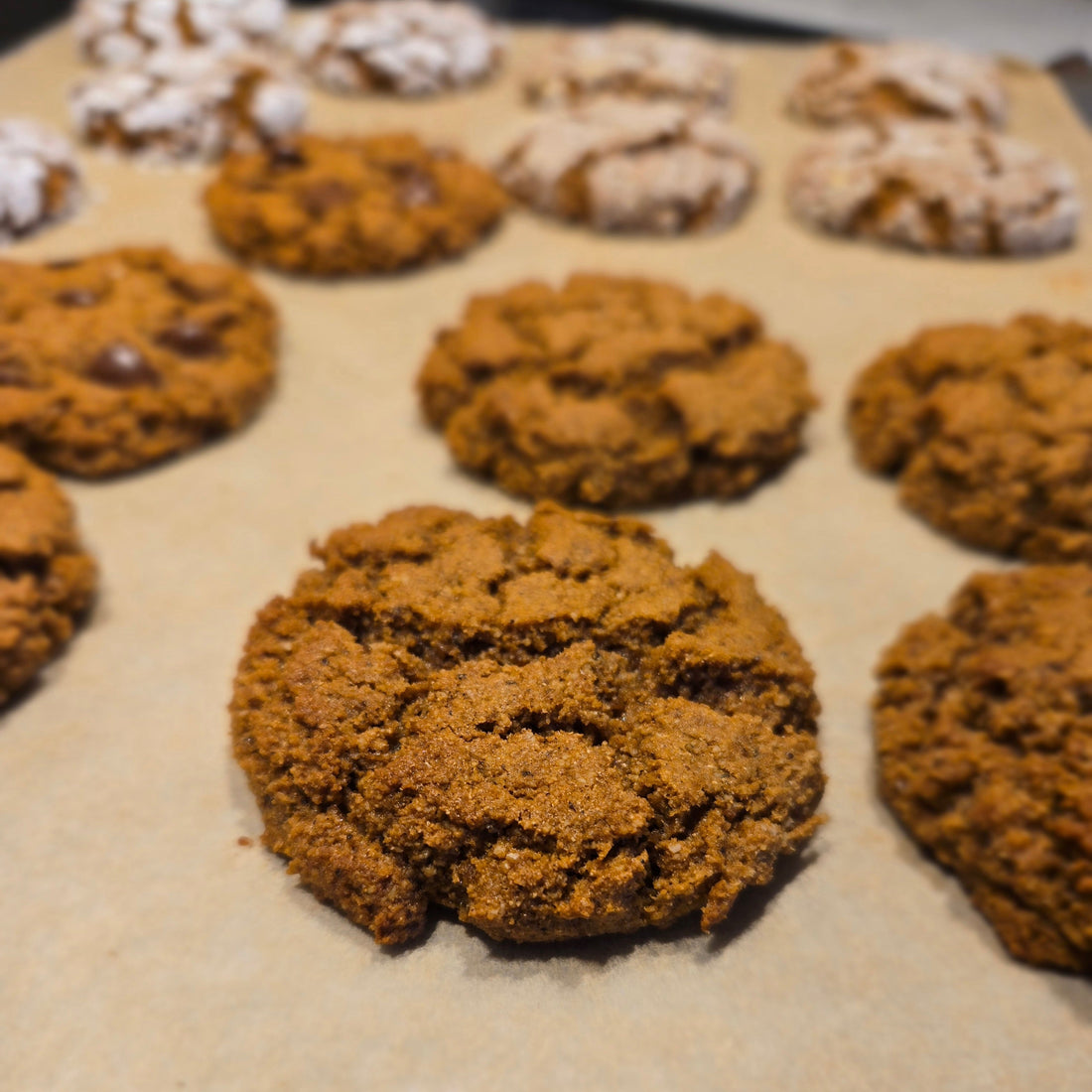 Pumpkin Spice Cookies on a baking pan with some cookies in the back that have been rolled in powdered sugar before baking.